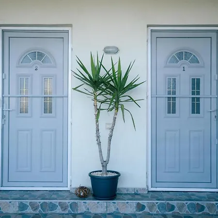 Primavera Vama Veche