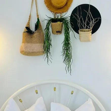 Primavera Vama Veche