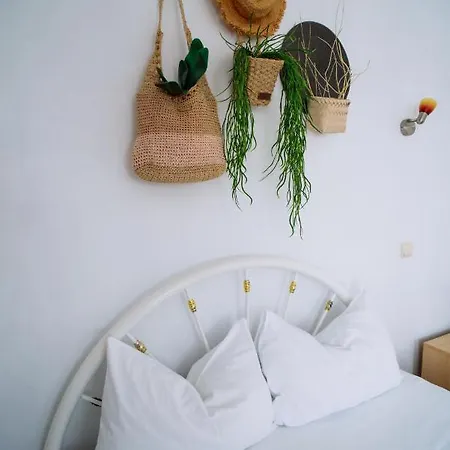 Guest house Primavera