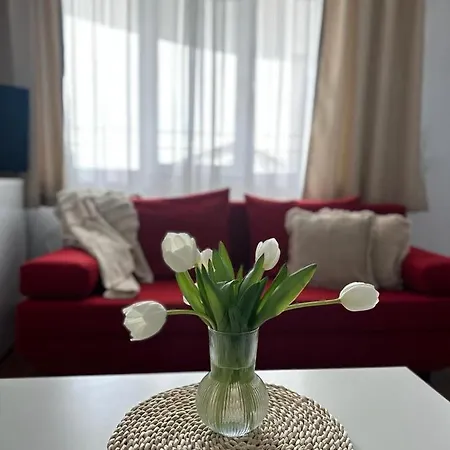Primavera Vama Veche