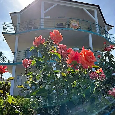 Primavera 4*