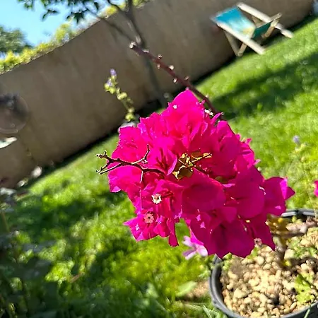 Primavera 4* ואמה וקה